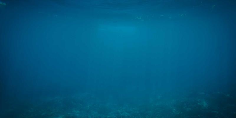 意图驱动网络(IDN)实战指南：从策略自动下发到网络自愈的完整实现路径