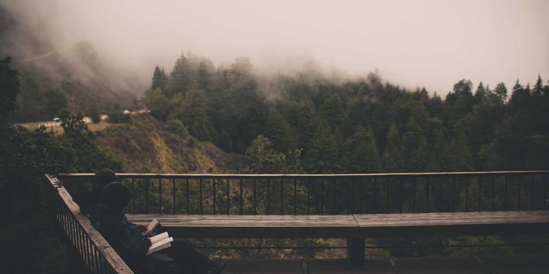 数字孪生如何重塑网络管理:从预测性维护到智能容量规划的实战指南