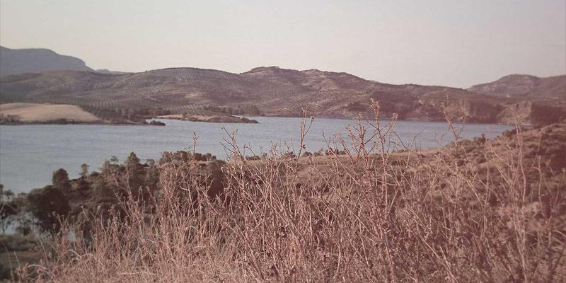 超融合基础设施(HCI)网络优化:打破存储与计算融合后的性能瓶颈