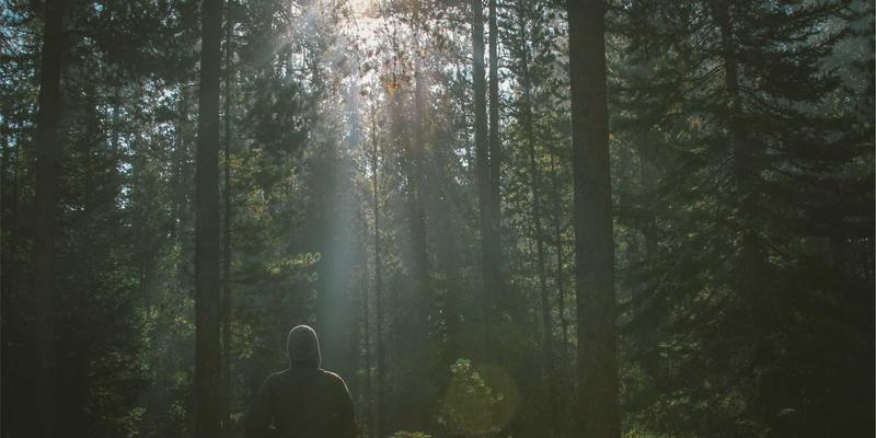 零信任安全模型实战指南:从编程到架构的企业级实施路径
